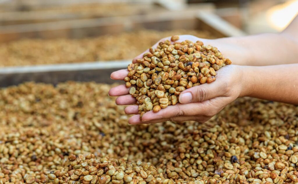 các loại cà phê phổ biến ở việt nam