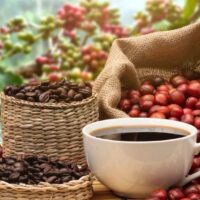 Cà phê Cherry
