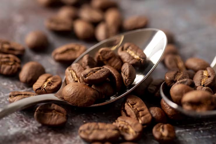chọn loại cà phê Robusta phù hợp