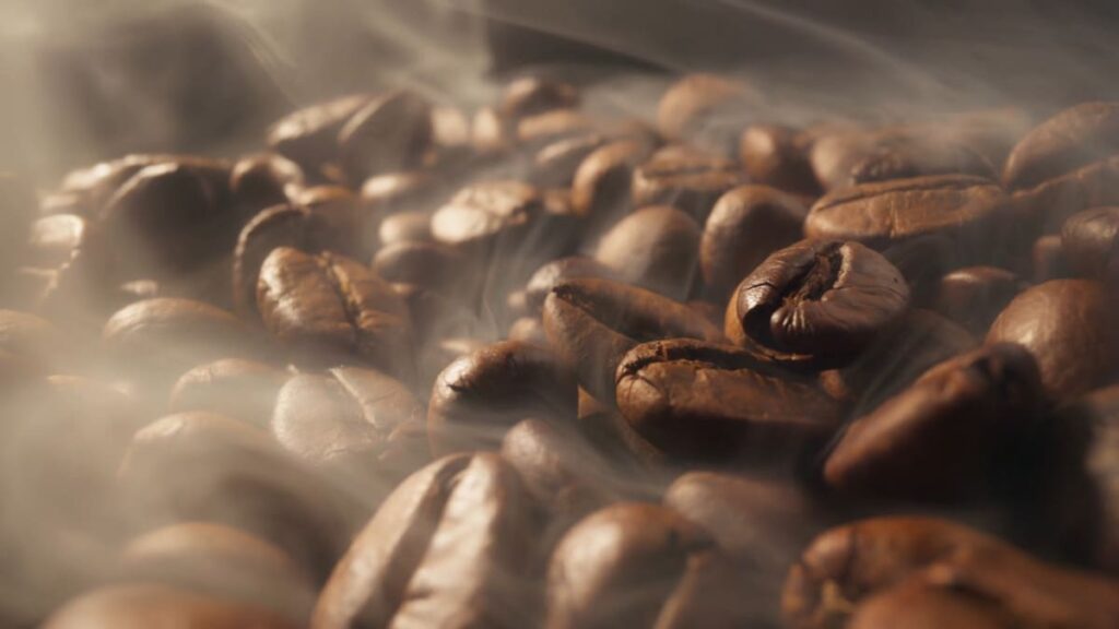 Đặc điểm của cây cà phê Bourbon