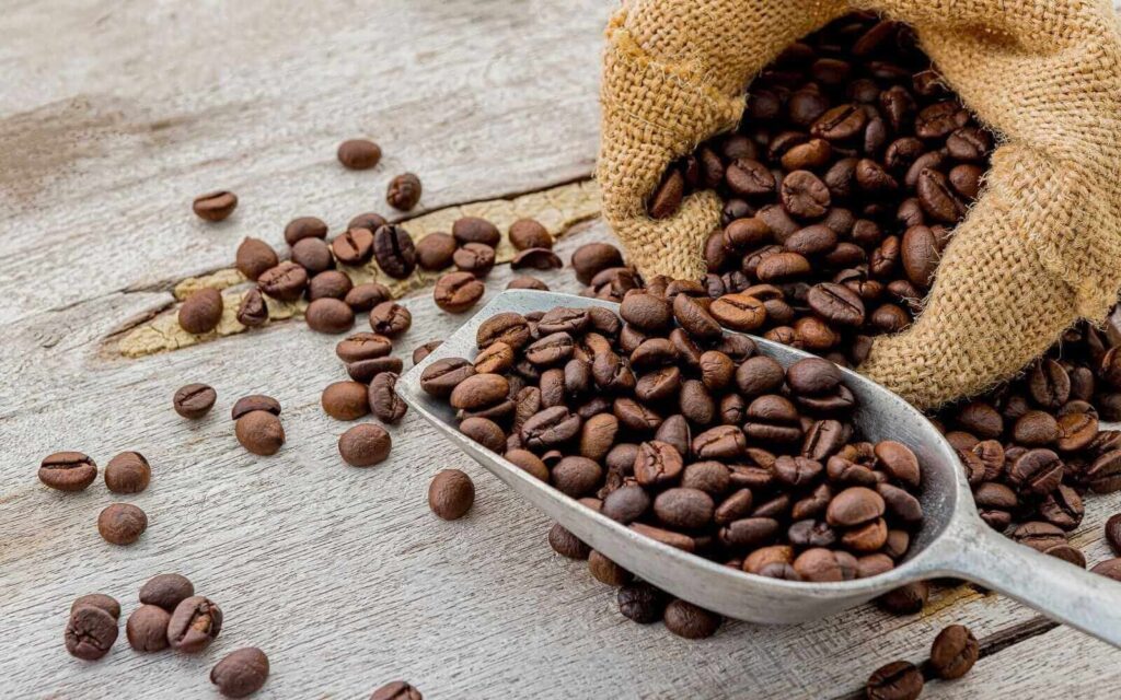 Đặc điểm của hạt cà phê Robusta