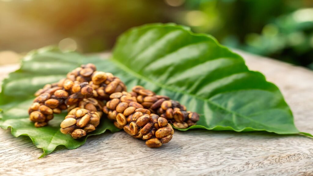 cà phê chồn làm từ gì