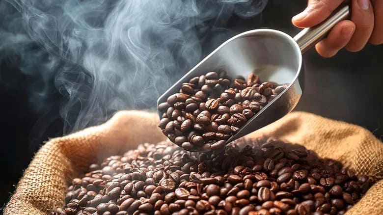 hạt cà phê arabica