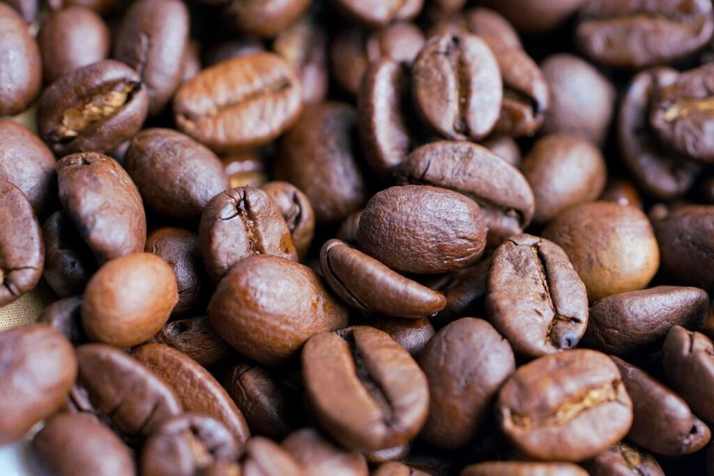 Đặc điểm nhận dạng và nguồn gốc